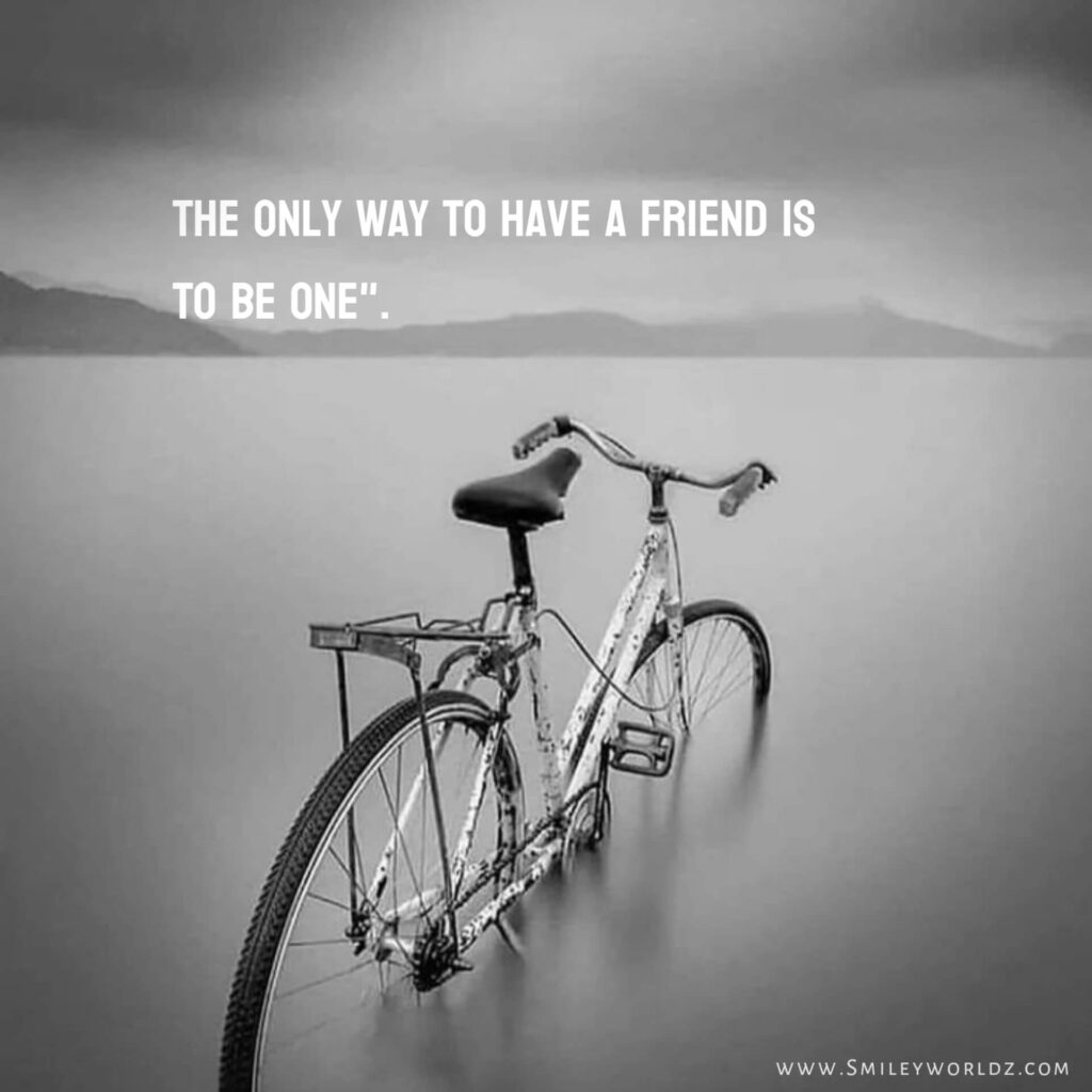 Friendship Quotes