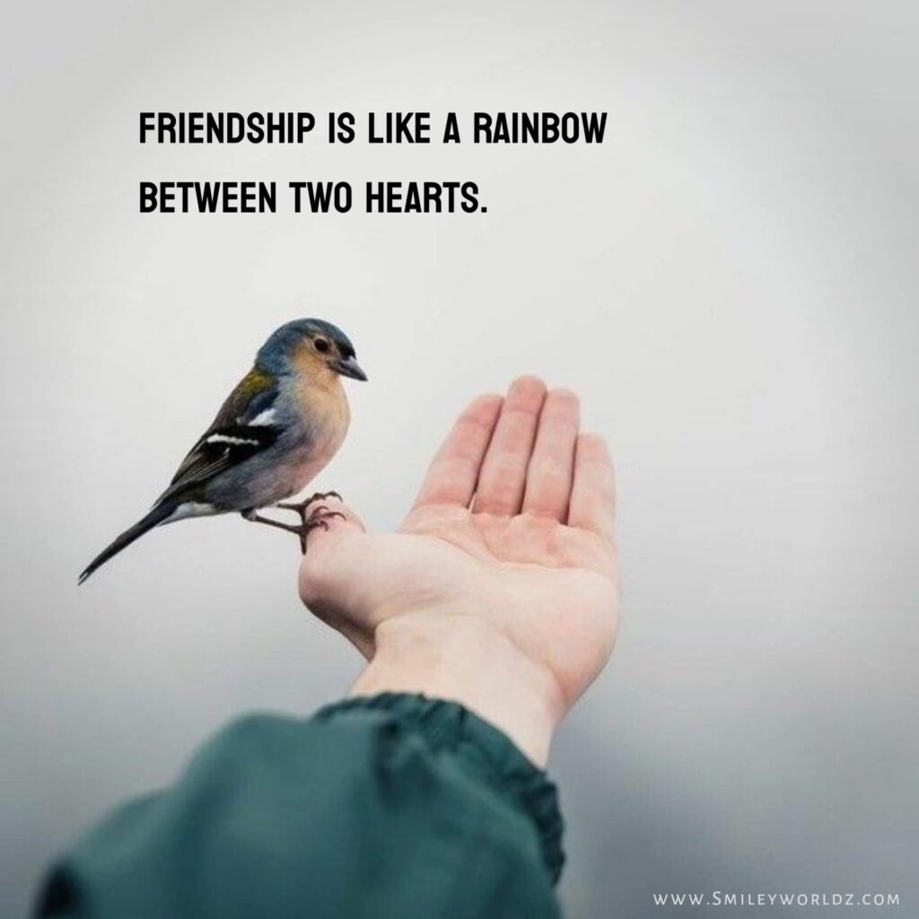 Meaningful Friendship Quotes