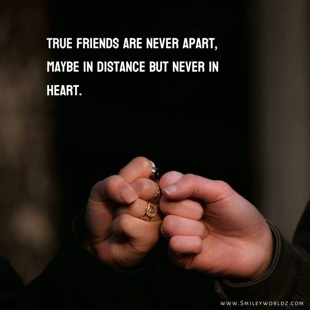 Friendship Quotes