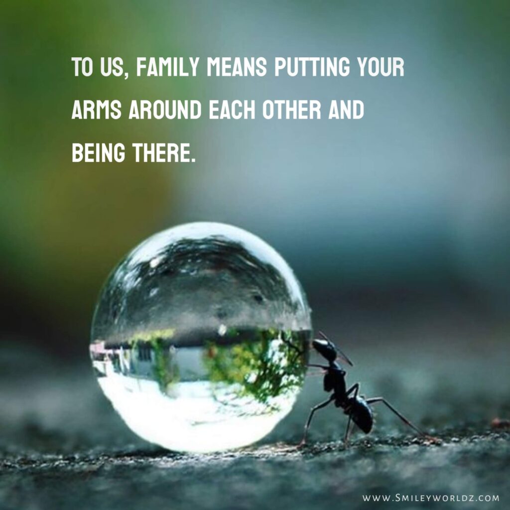 Quotes About Family Love