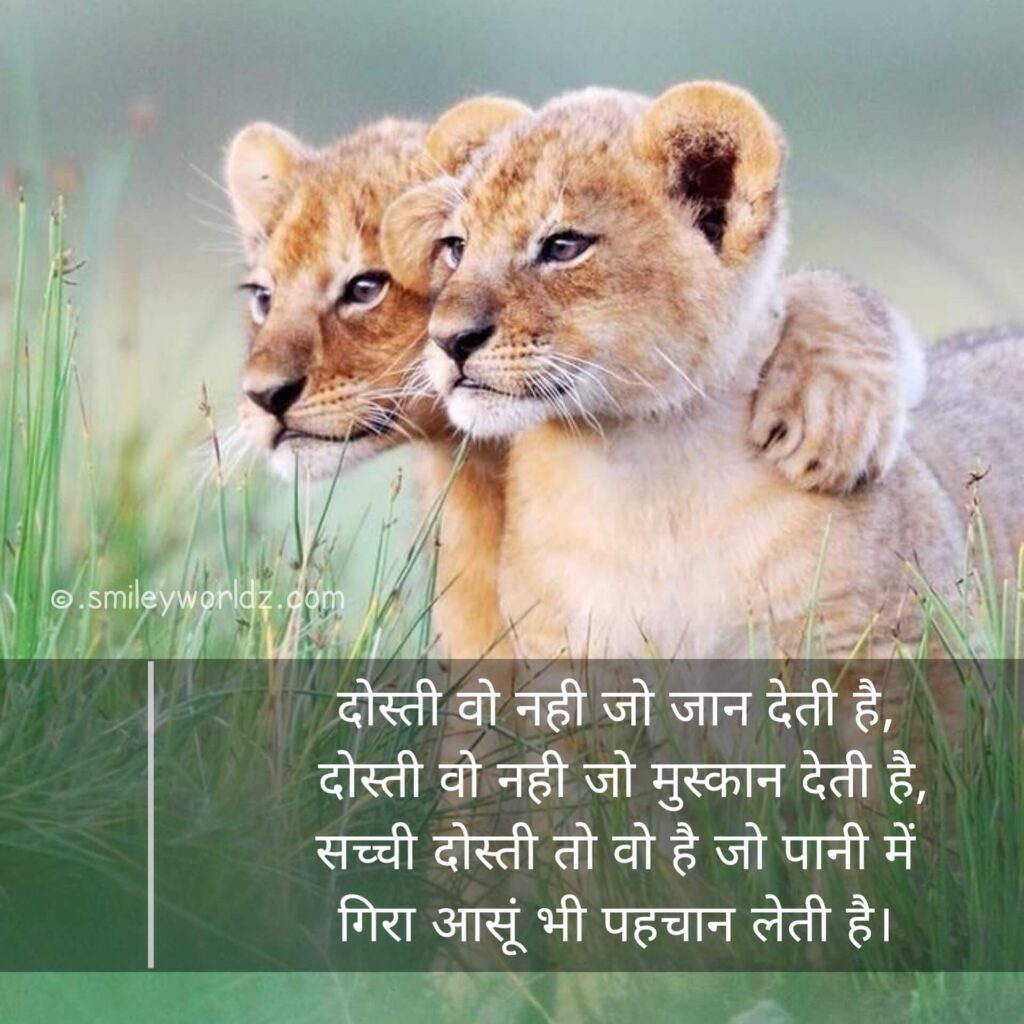  Dosti Shayari 2 Line