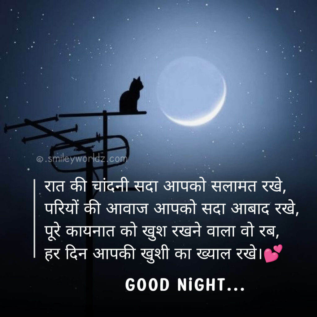  Latest Good Night Shayari In Hindi