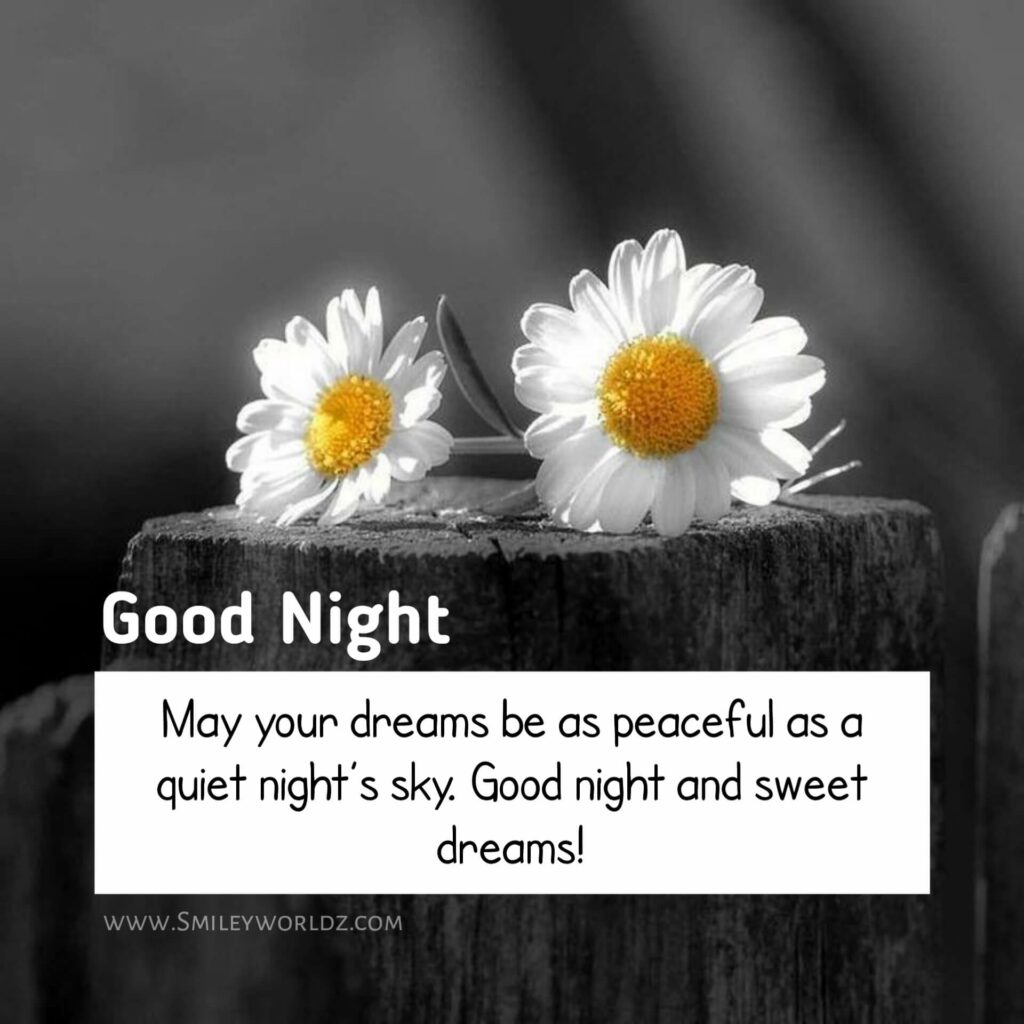  Best Good Night Messages For Friends