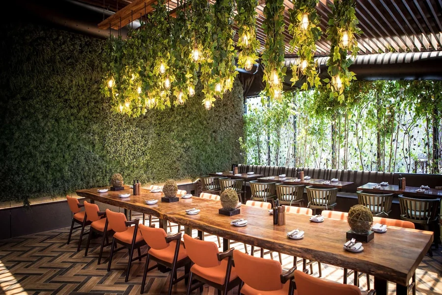 Dining in Style: Discovering the Best Restaurants in Yas Island Best Restaurants
