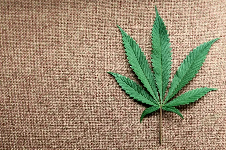 How Legal Cannabis Is Changing Social Life in South Jersey South Jersey