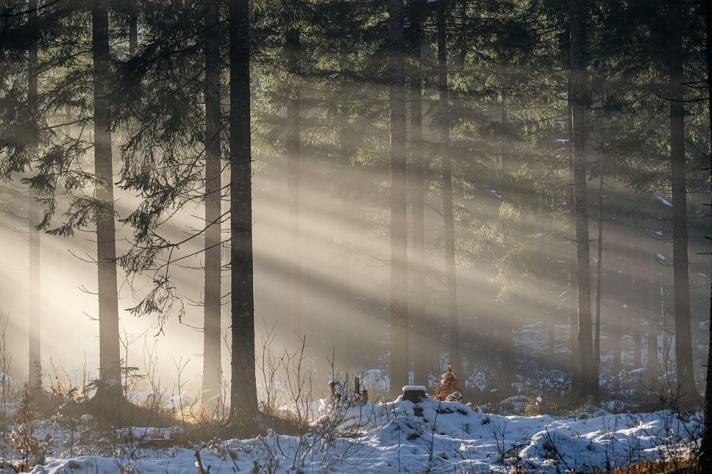 What Your Furnace’s First Cold-Morning Startup Is Really Telling You